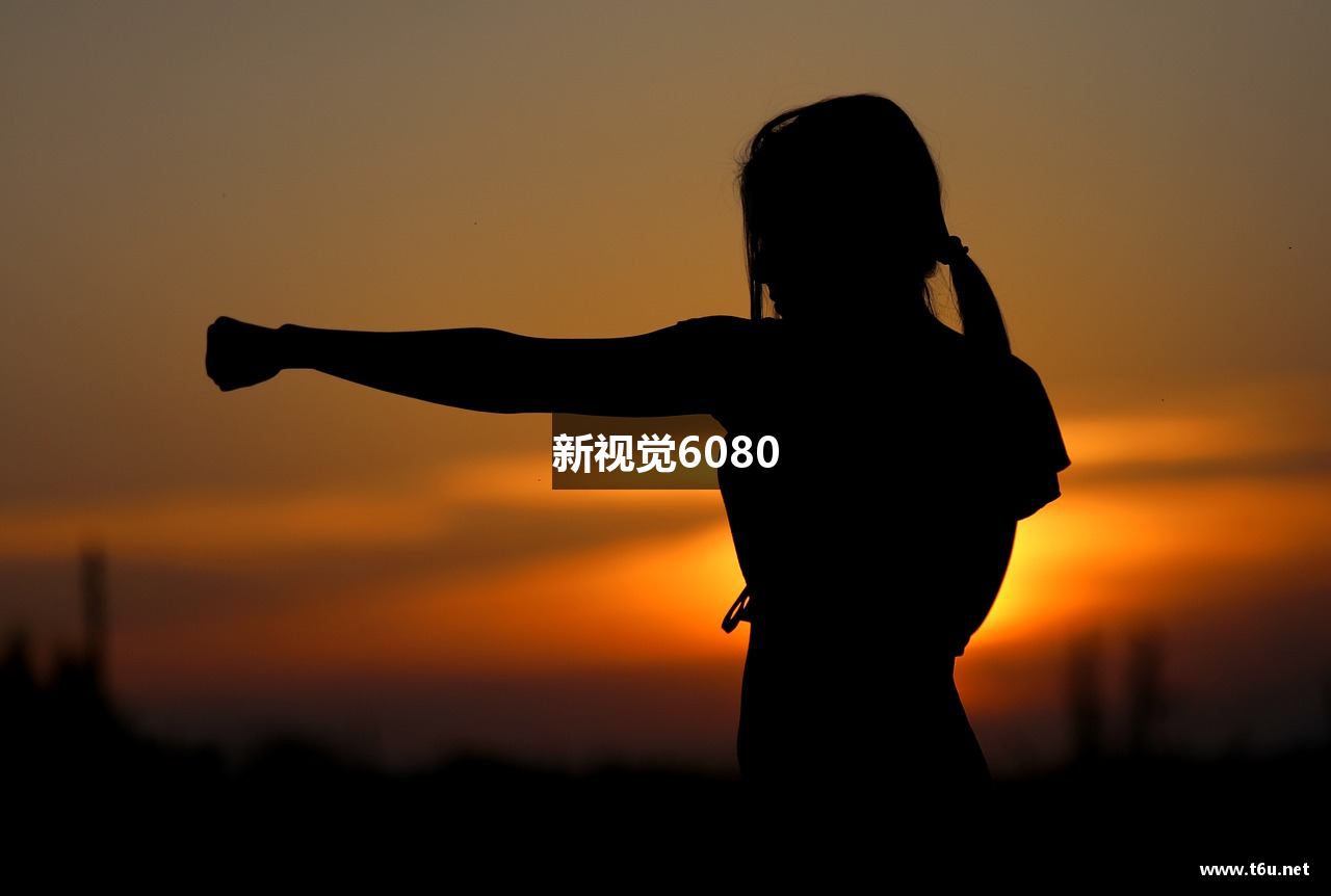 新视觉6080